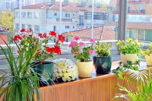 هتل سی کی فارابی آنکارا