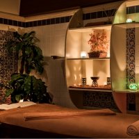 دلفین دیلوکس آلانیا