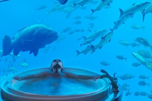 هتل آتلانتیس دبی
