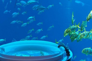 هتل آتلانتیس دبی