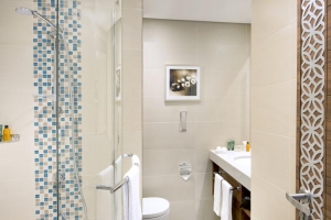 هتل هیلتون گاردن این دبی ال مینا