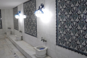هتل فونیکس سان بدروم (هتل پالم گاردن سابق)